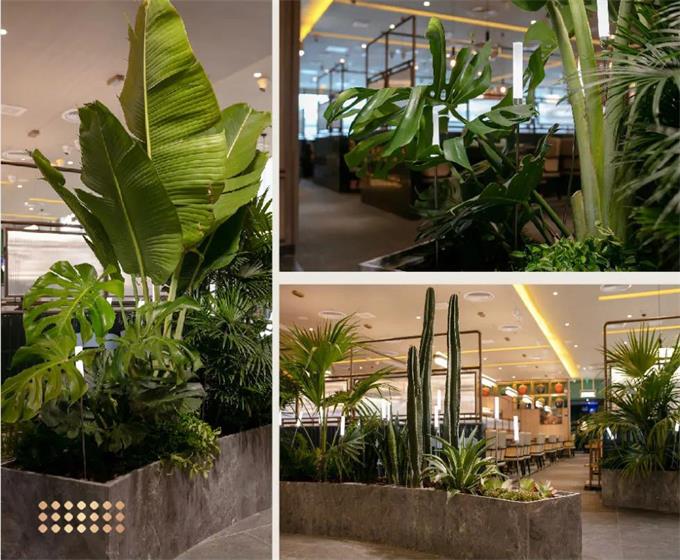 润园四季椰子鸡空间装饰